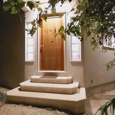 New! Casa Xola Cenote And Fauna Loft Cozumel Exterior foto