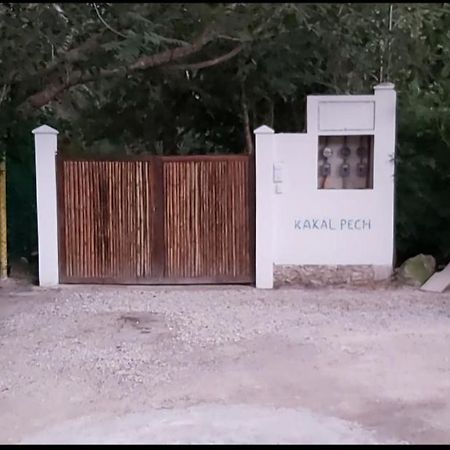New! Casa Xola Cenote And Fauna Loft Cozumel Exterior foto