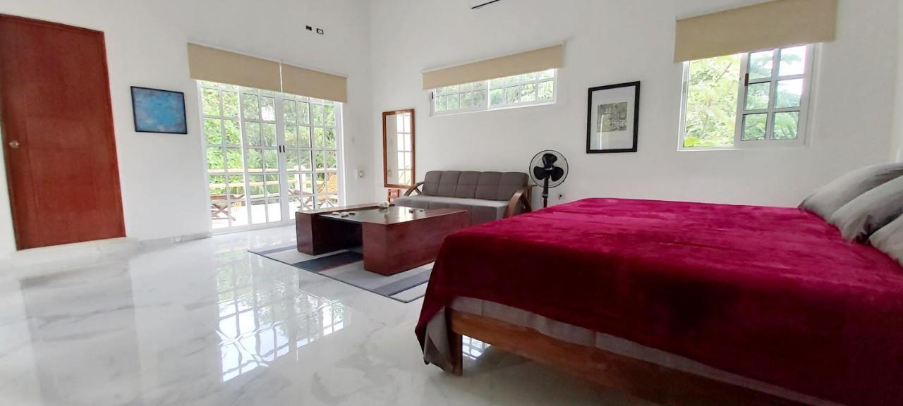 New! Casa Xola Cenote And Fauna Loft Cozumel Exterior foto