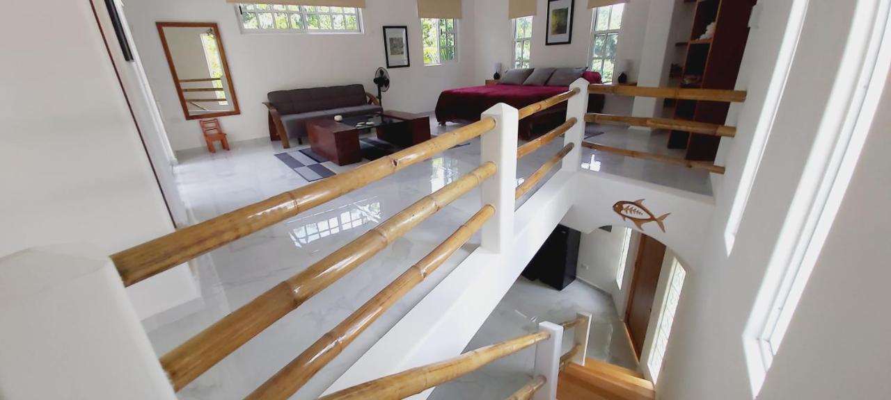 New! Casa Xola Cenote And Fauna Loft Cozumel Exterior foto