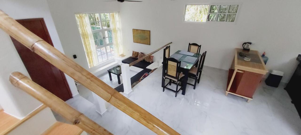 New! Casa Xola Cenote And Fauna Loft Cozumel Exterior foto
