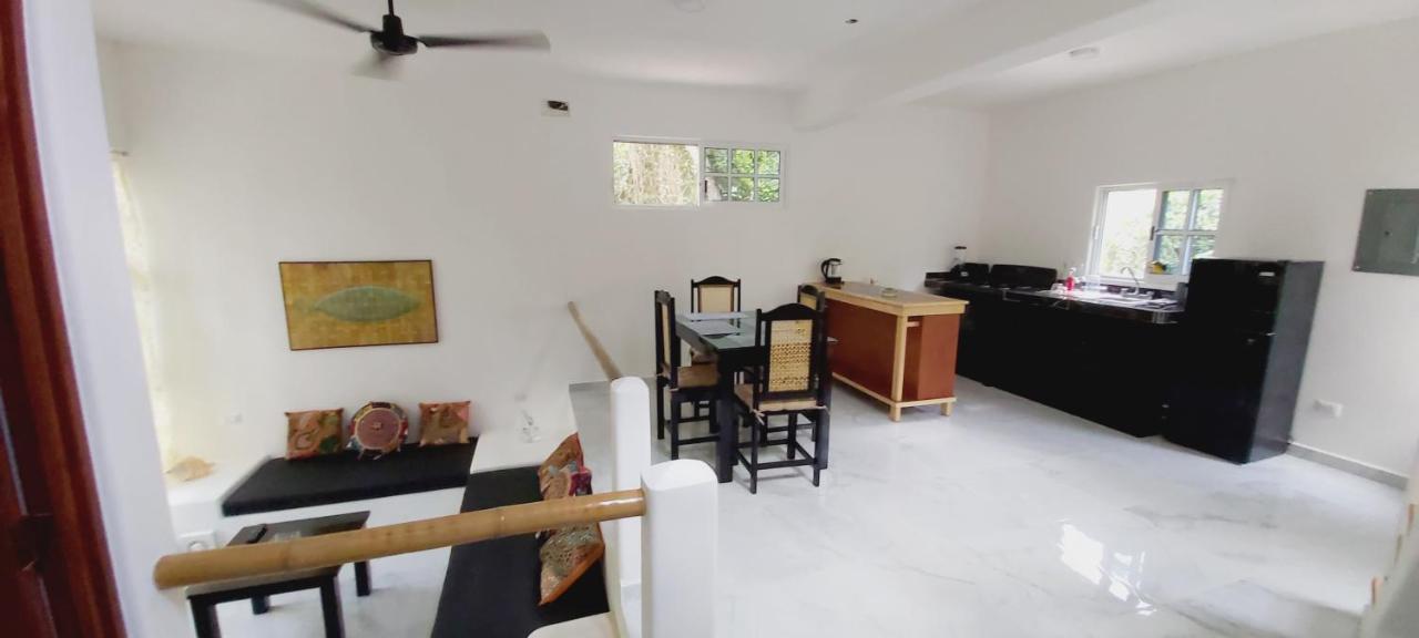 New! Casa Xola Cenote And Fauna Loft Cozumel Exterior foto